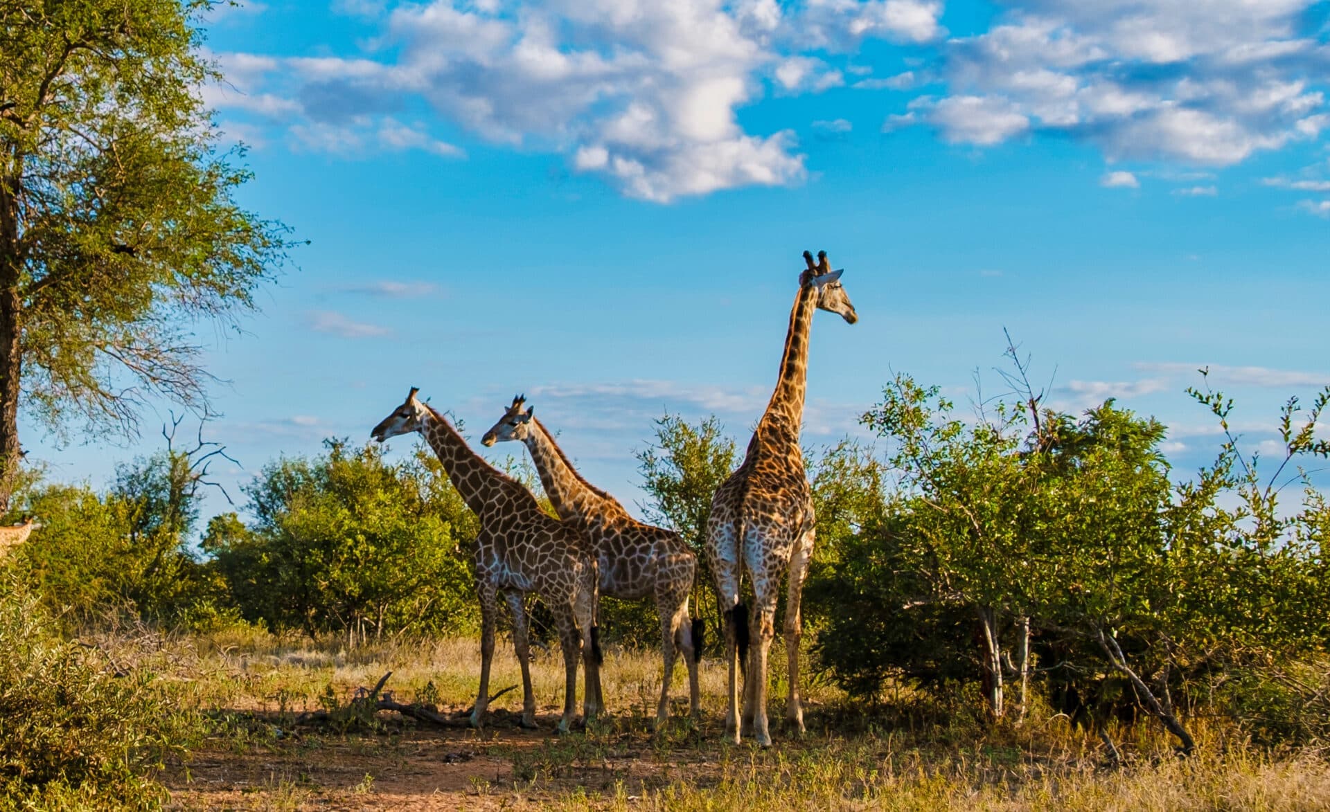 Kruger National Park