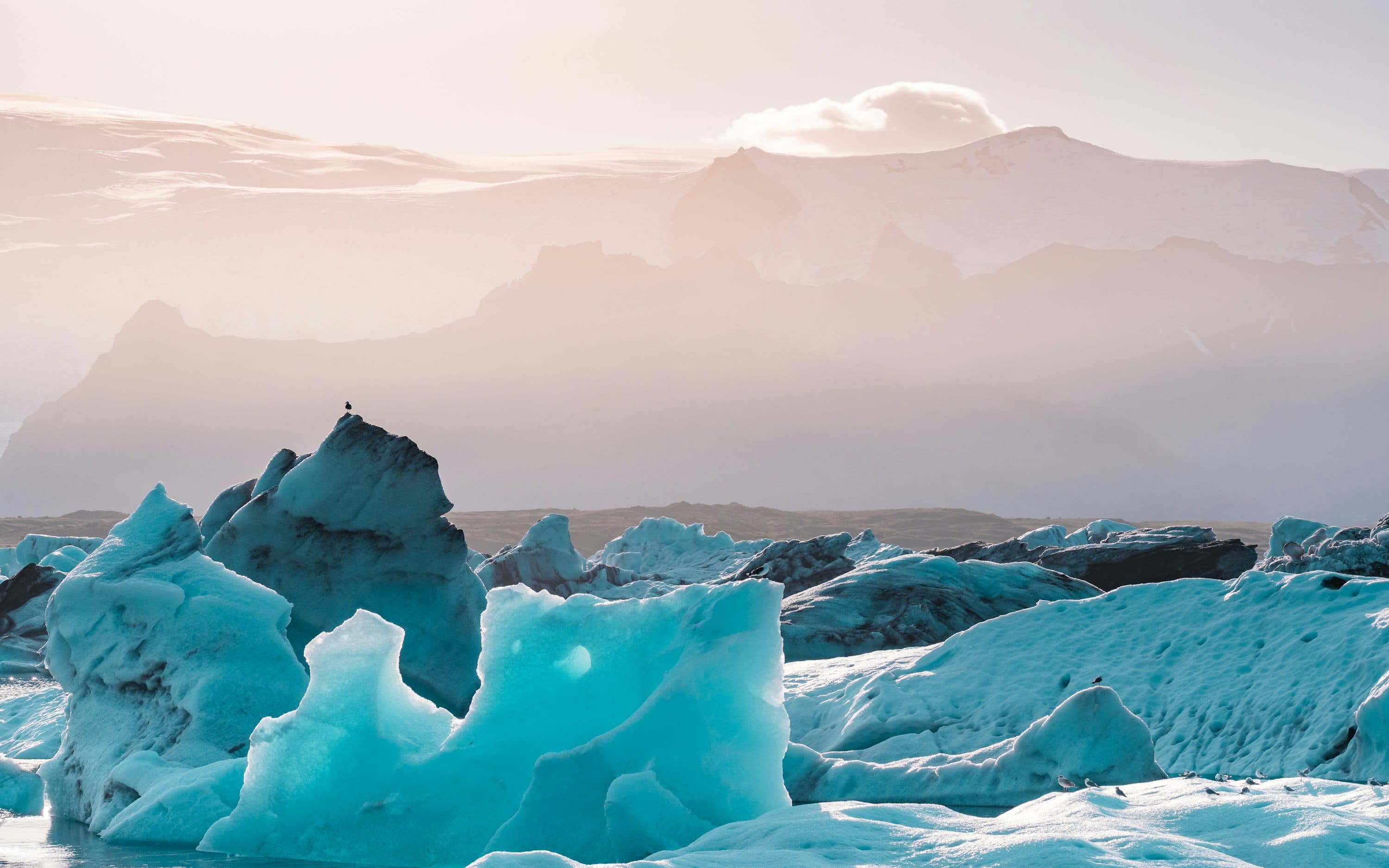 THE LAND OF FIRE AND ICE: ICELAND AND GREENLAND image 5