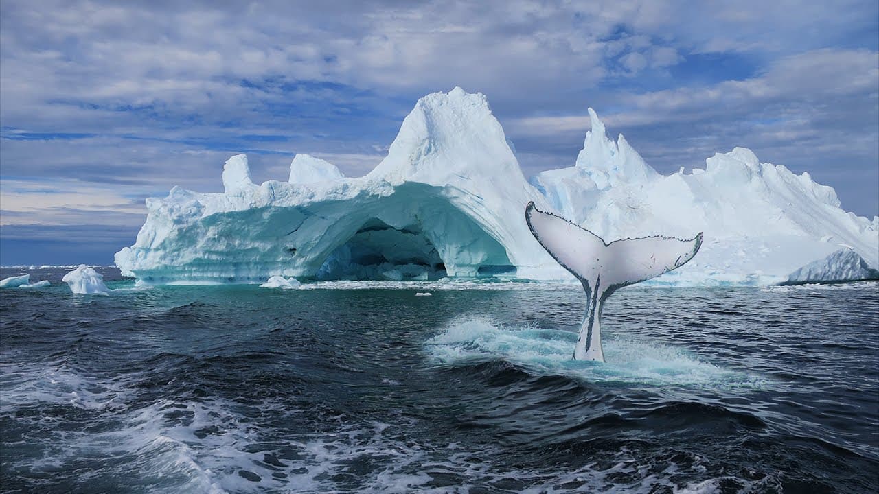 THE LAND OF FIRE AND ICE: ICELAND AND GREENLAND image 4